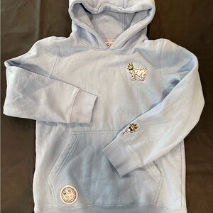 Kids Light Blue Hoodie with Embroidered Design